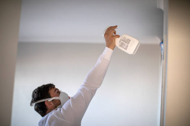 Best Residential Mold Removal  in Lake Cassidy, WA