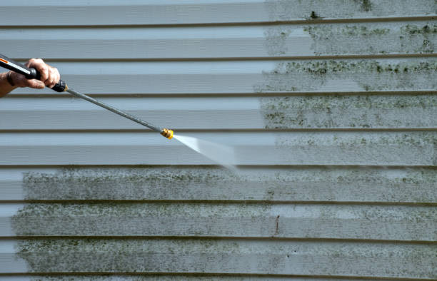 Best Mold Damage Repair  in Lake Cassidy, WA