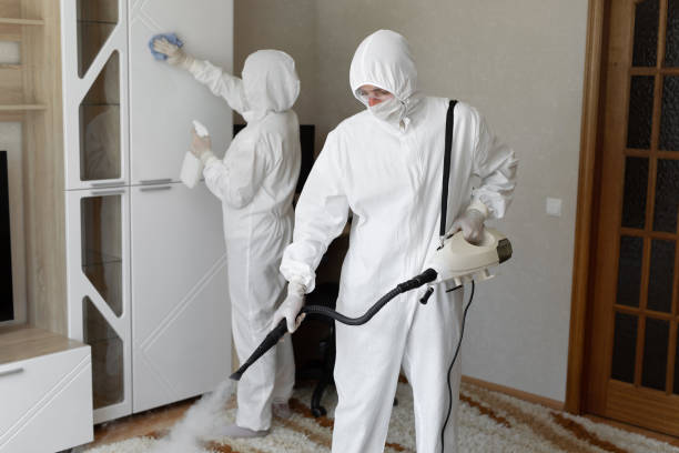 Best Crawl Space Mold Removal  in Lake Cassidy, WA